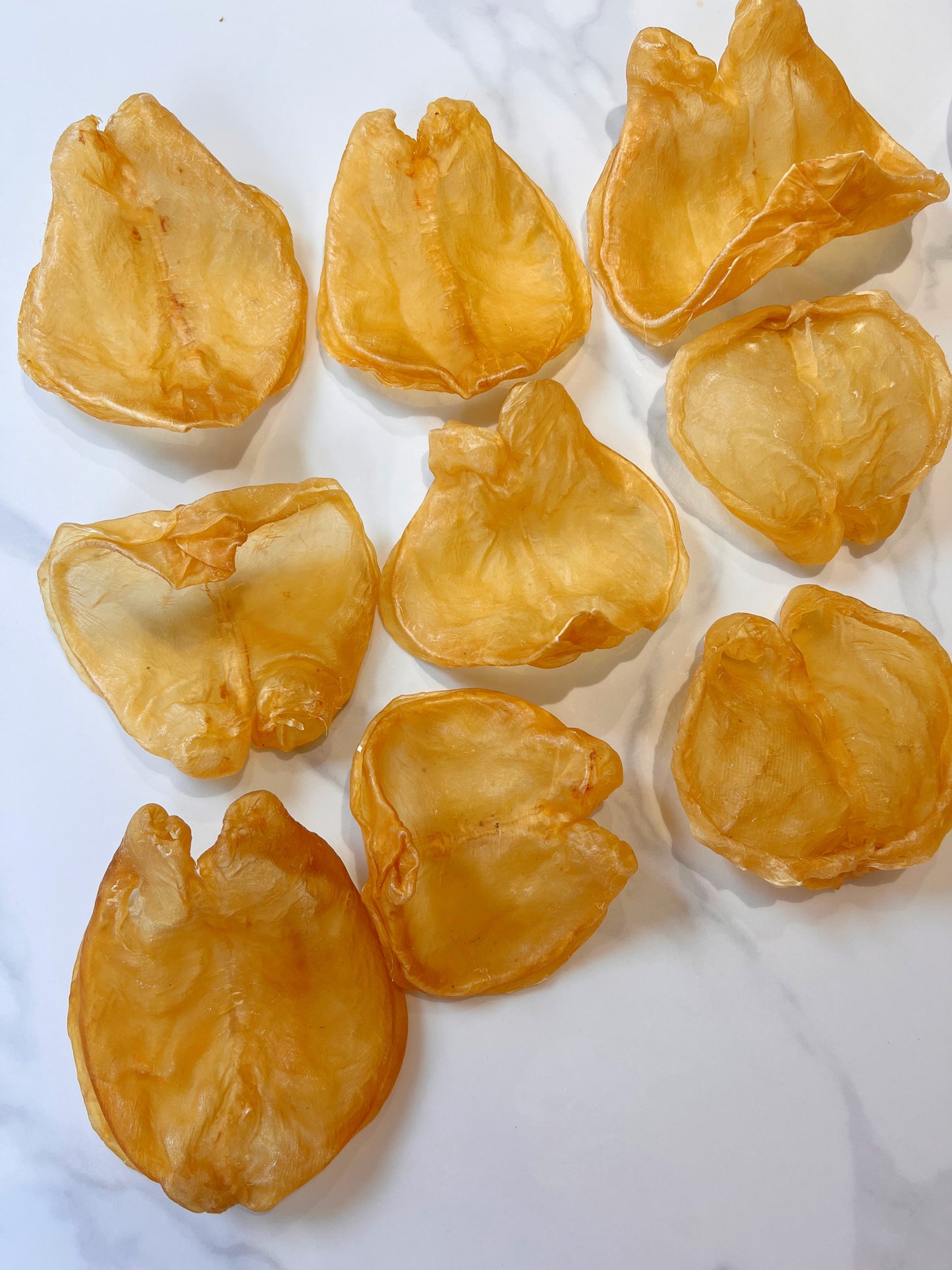 【南倫敦海味團購88折優惠】7-9頭非洲花膠片/ 筒