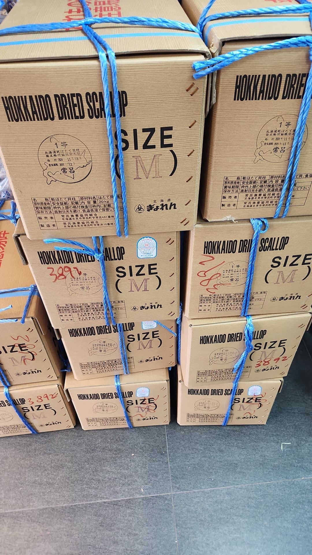 【2026新年預訂88折】日本北海道常呂M Size 元貝 (1月10-20收貨)