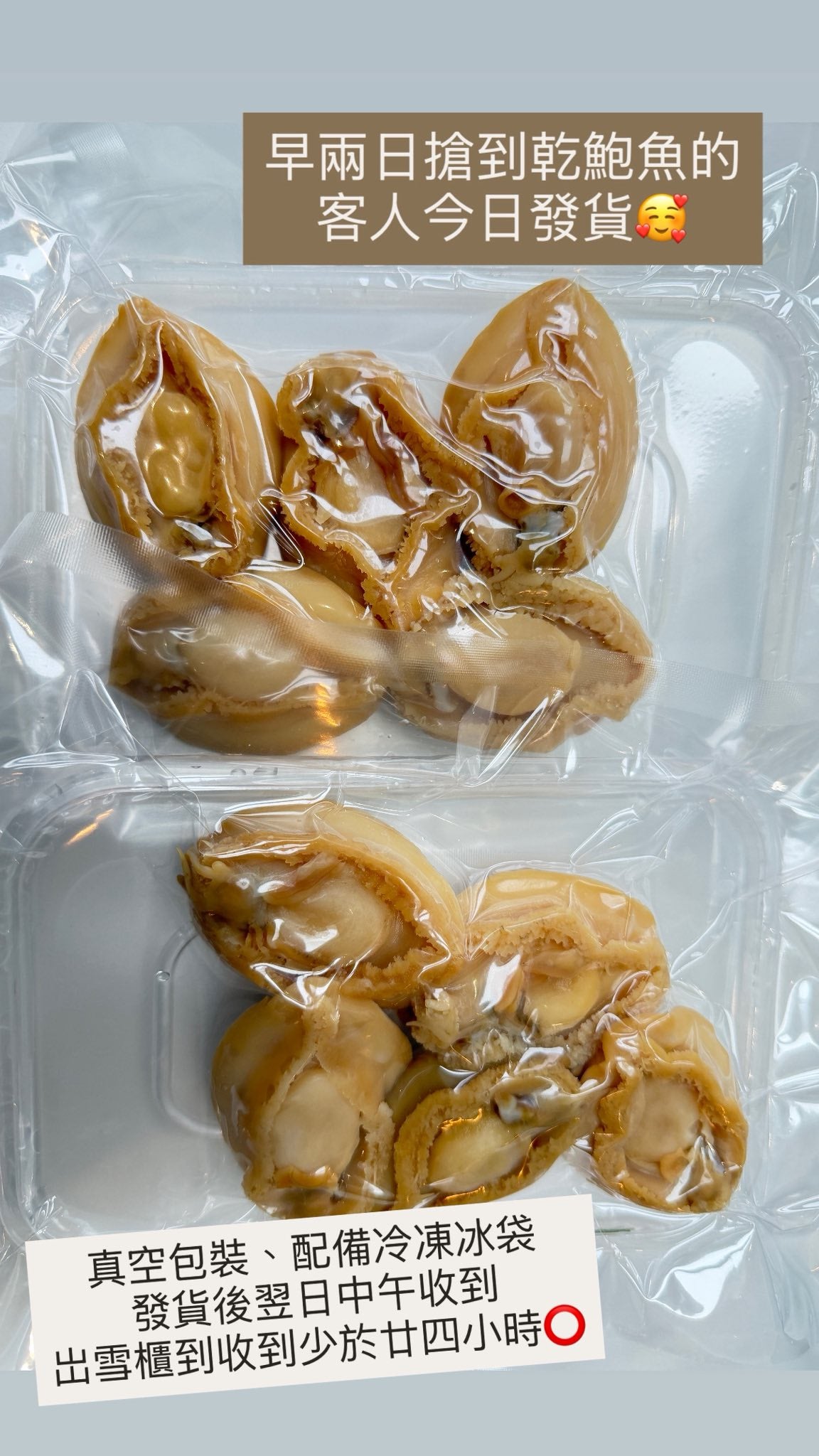 【已浸發】36頭鮑魚・10隻裝