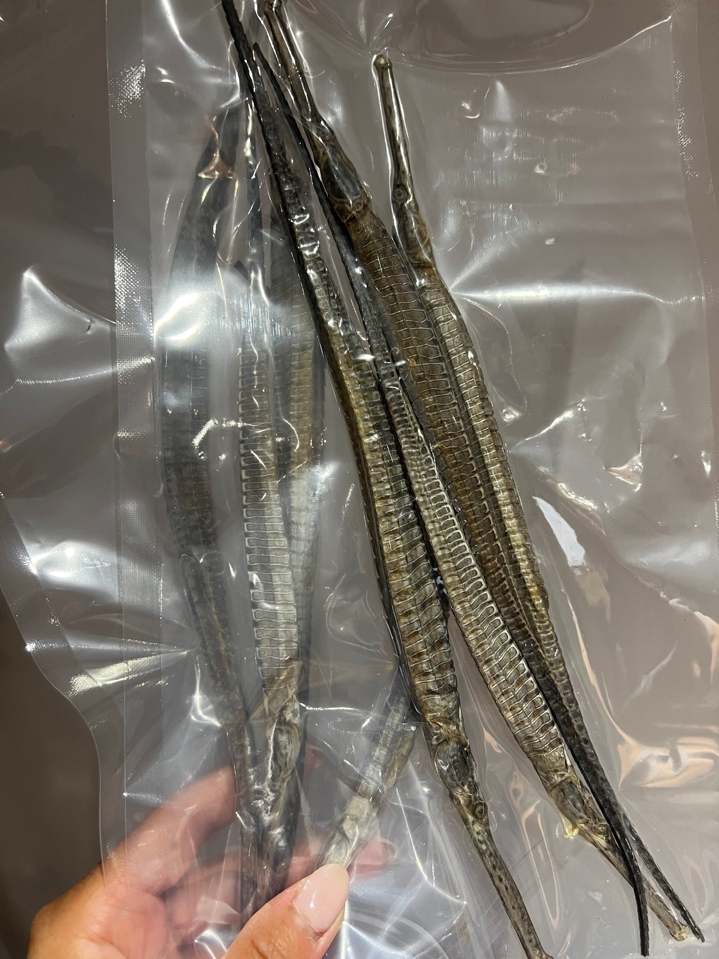 【止咳平喘 化痰止咳 消炎止痛】澳洲野生海龍