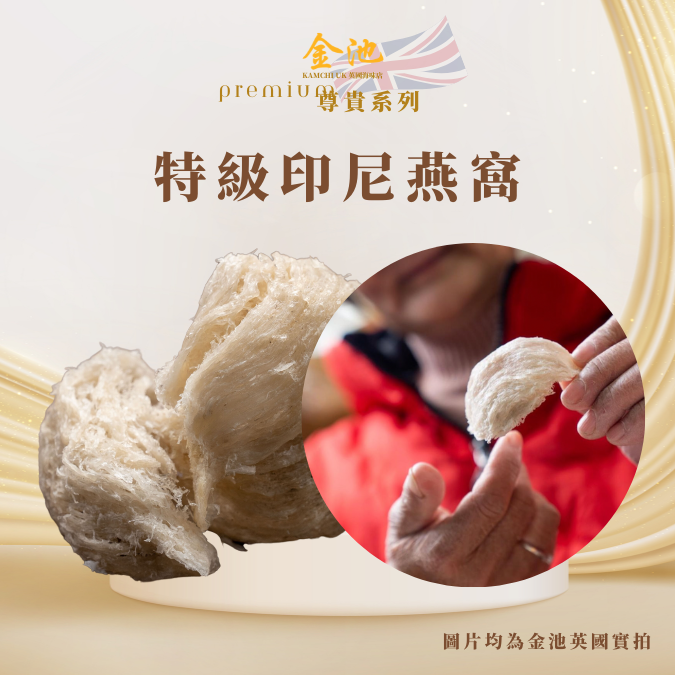 【女性寶物!】印尼特級燕窩
