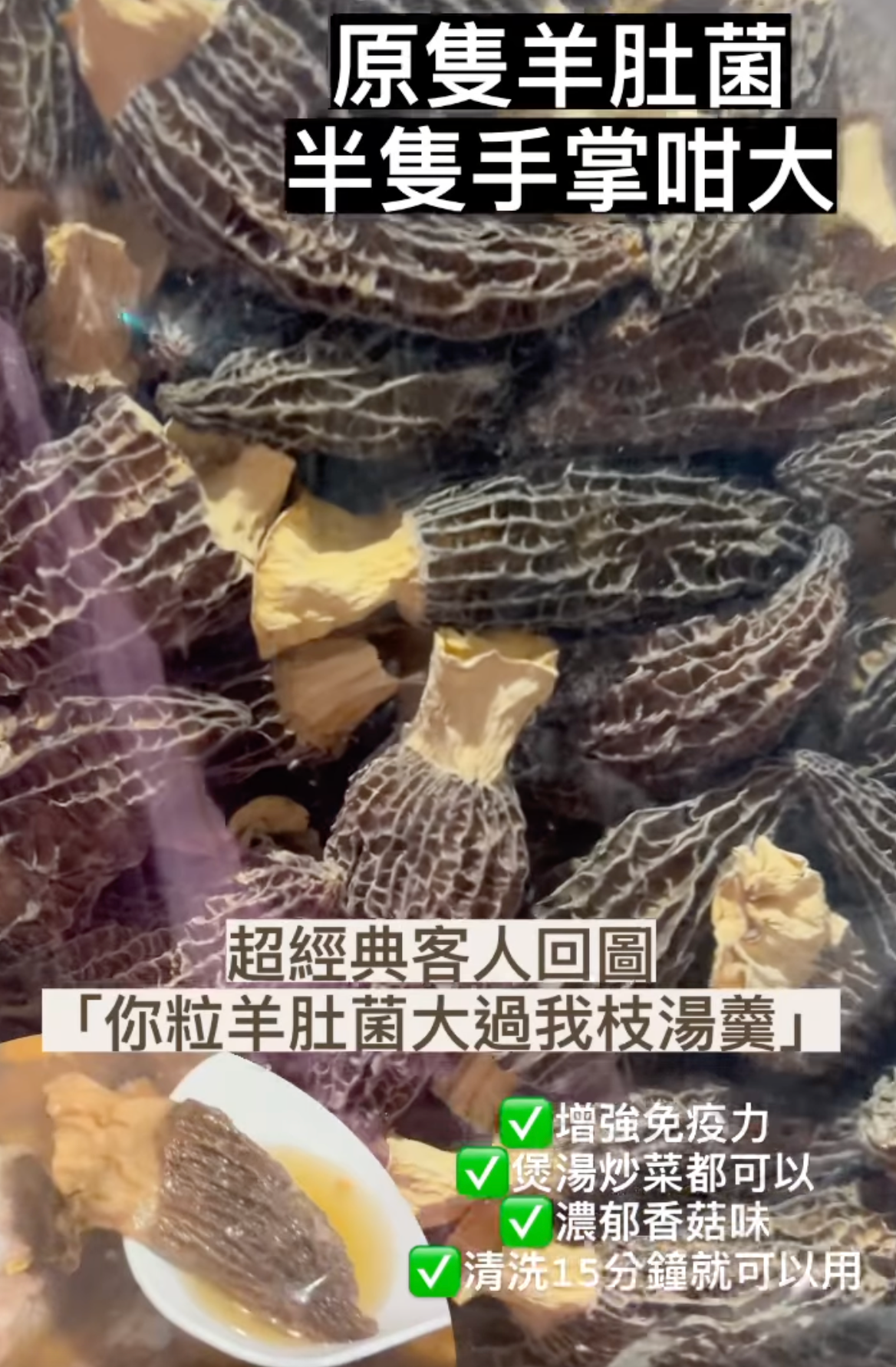 【2026新年預訂88折】特大羊肚菌(1月10-20收貨)