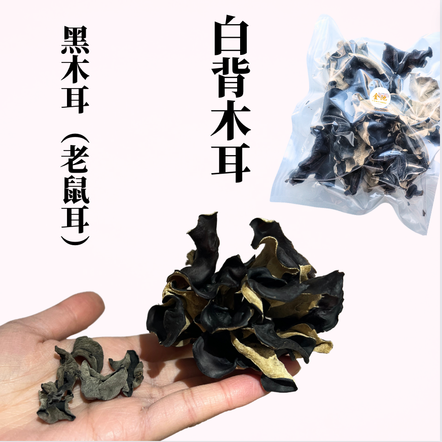 【補益氣血】巨型白背木耳(毛木耳)