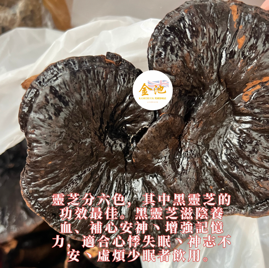 【補心安神 增強記憶力】野生黑靈芝皇