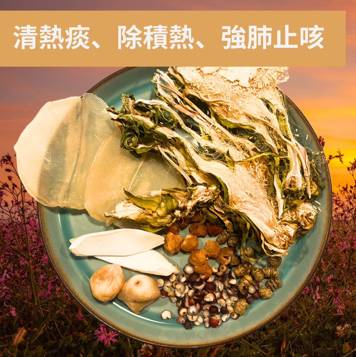 【清熱痰、除積熱、強肺止咳】雙螺片霸王花鐵皮石斛無花果湯