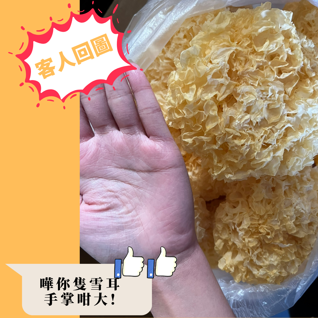大雪耳