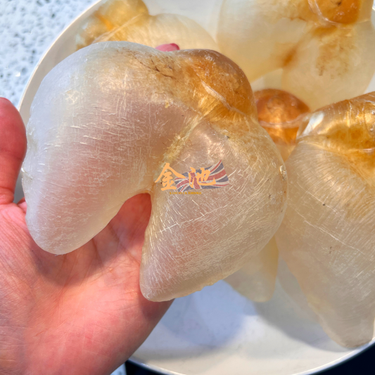 【高級滋補．孕育之選】雞泡魚膠