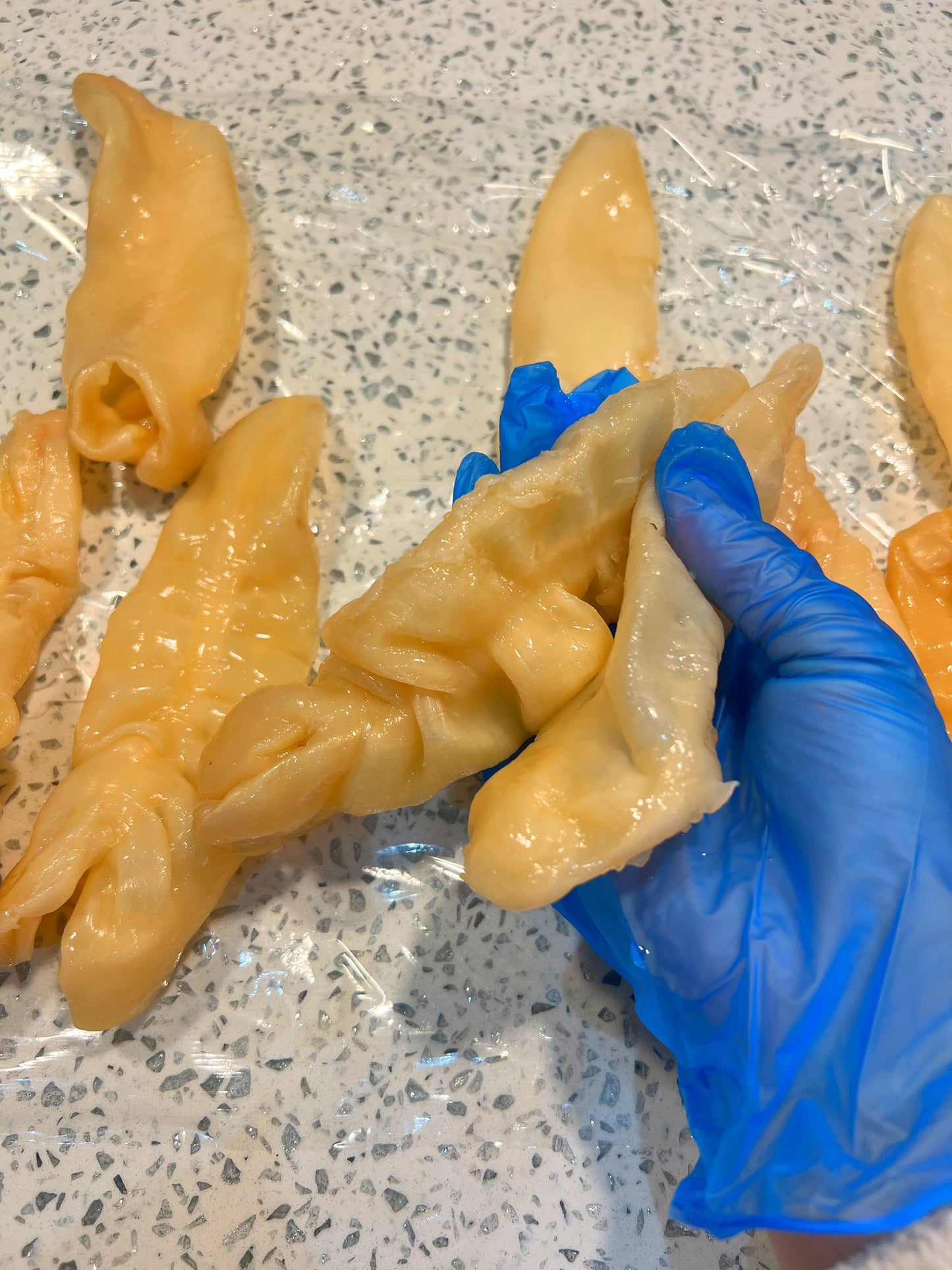 【已浸發】70-80頭坦桑尼亞花膠10條