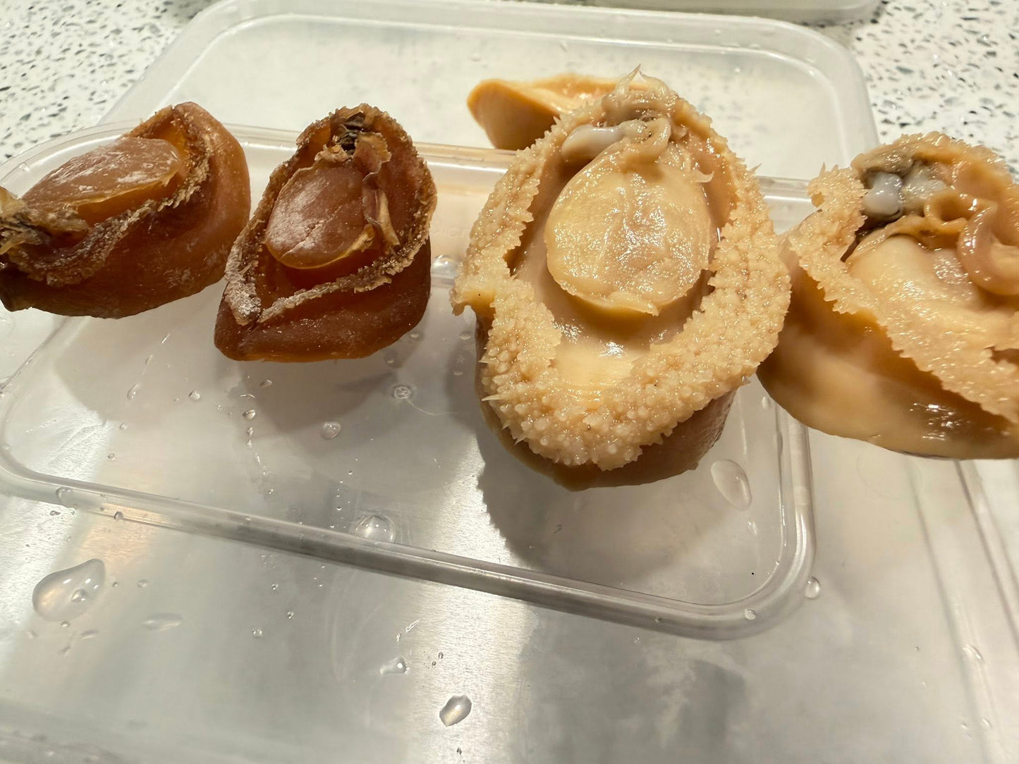 【已浸發】36頭鮑魚・10隻裝