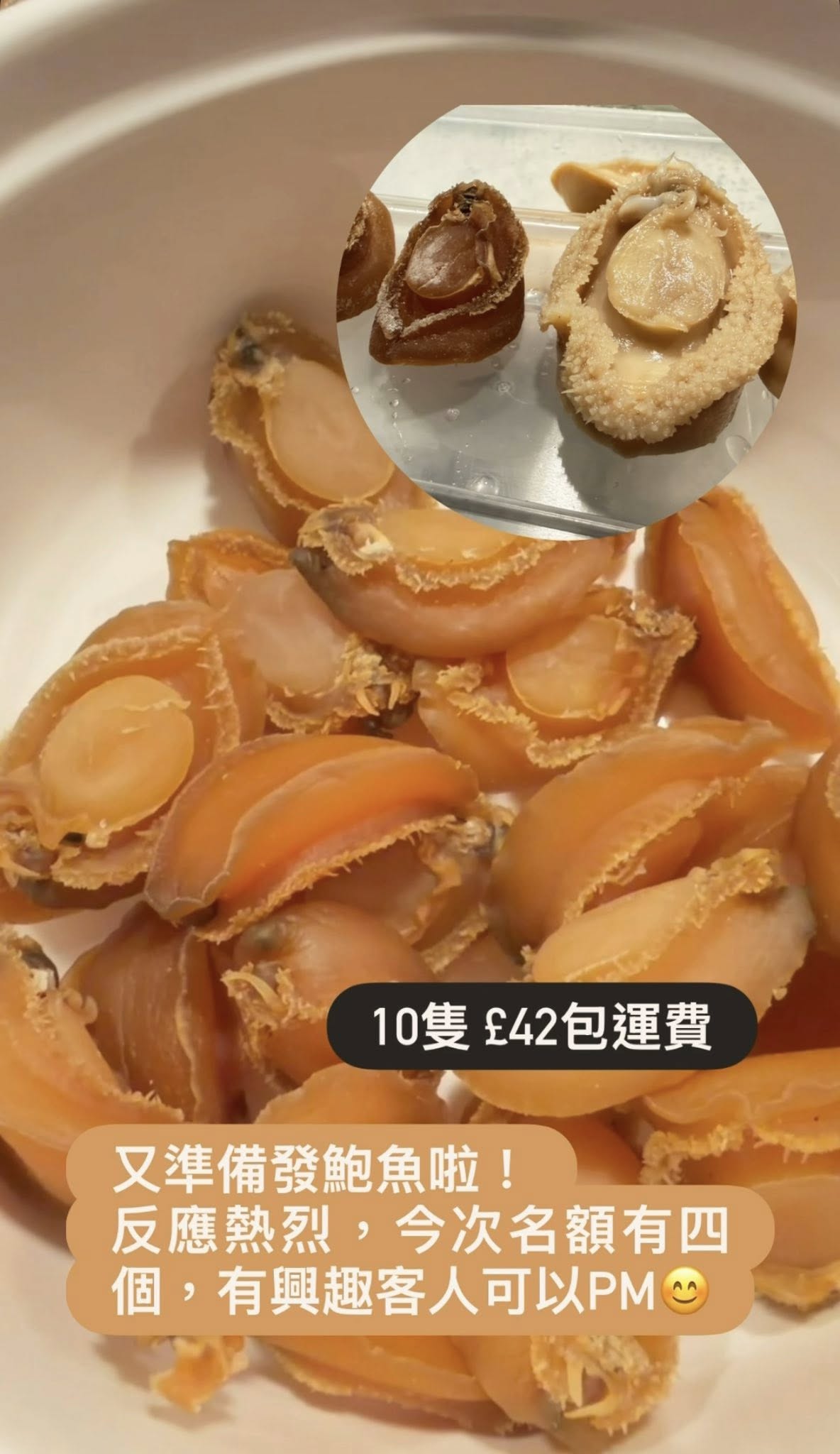 【已浸發】36頭鮑魚・10隻裝