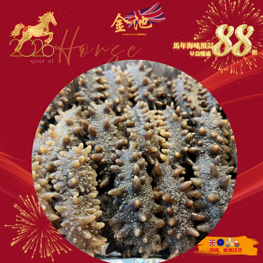 【2026新年預訂88折】60頭日本青森縣遼參（4排刺）（1月10-20收貨）