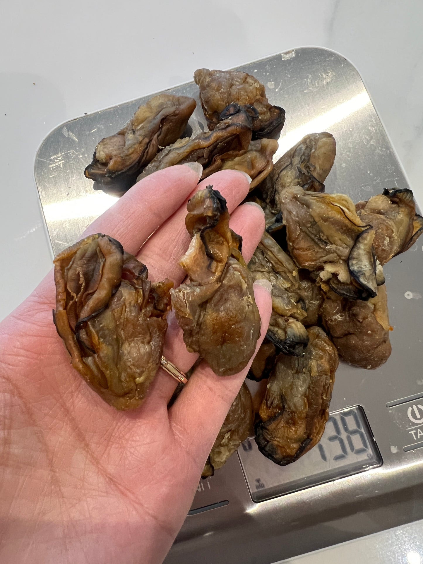 【香味濃口感鬆化】日本寶字牌蠔豉 LL(一包約15隻）