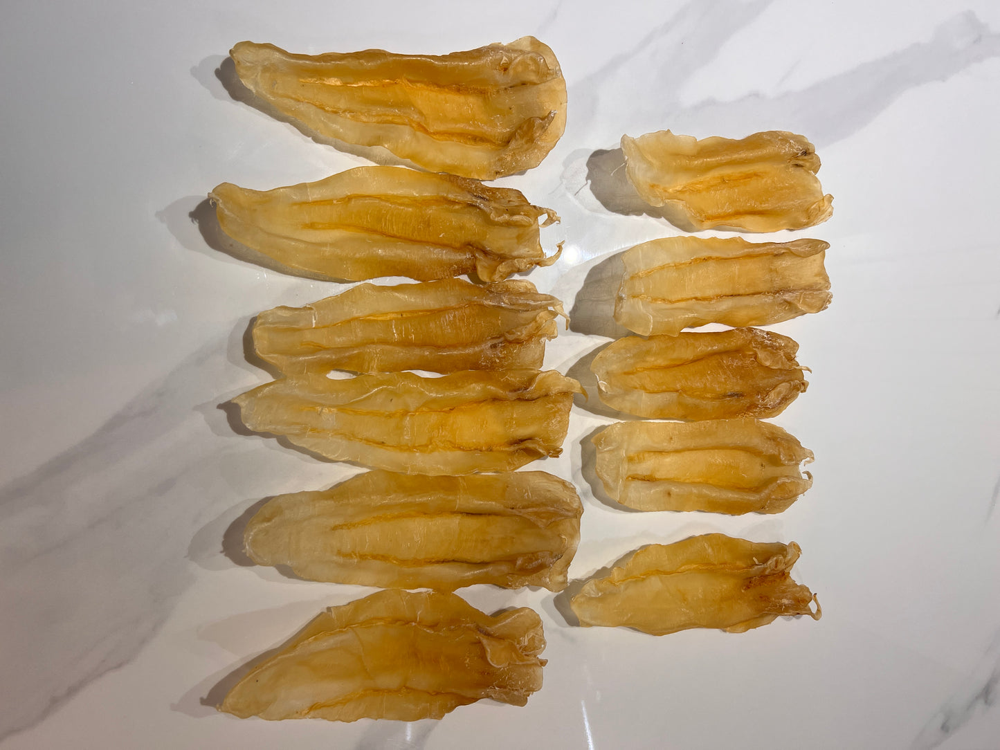 巴西扎膠公11頭