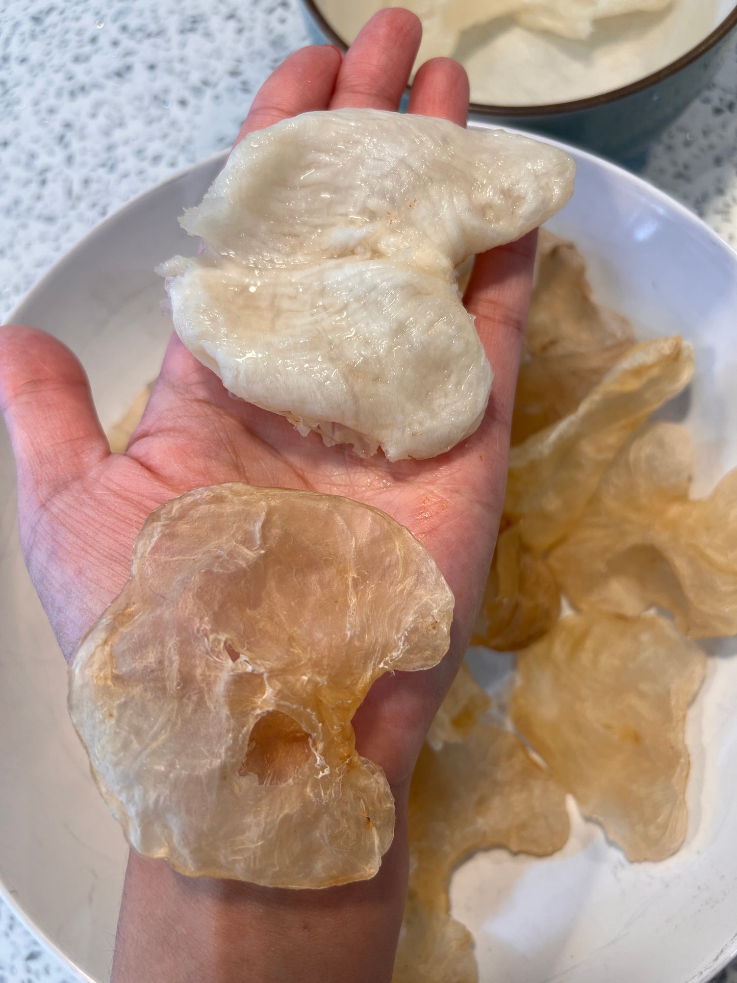 【備孕促孕】扁身雞泡魚膠（小）