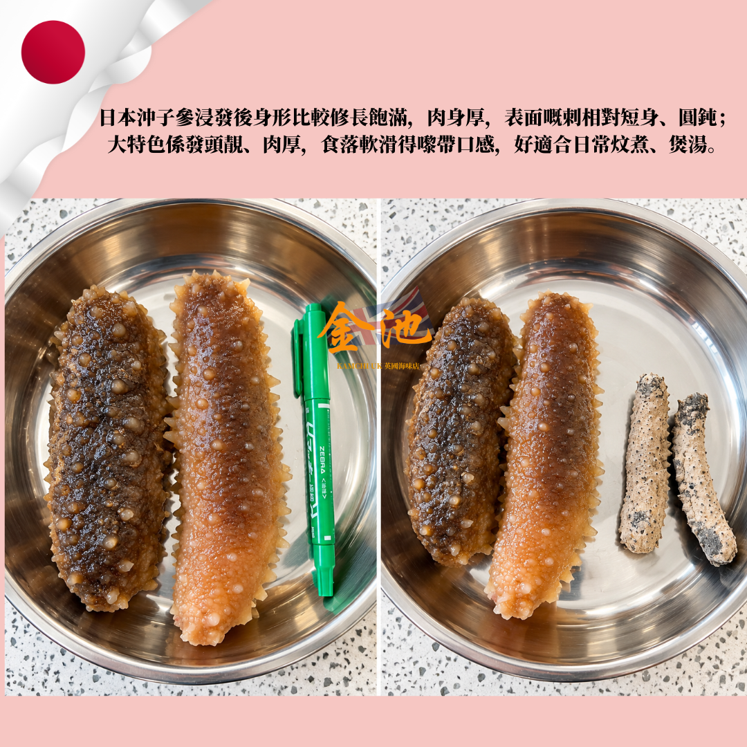 【肉厚高發頭】40–45頭日本沖子參200g （約14條）