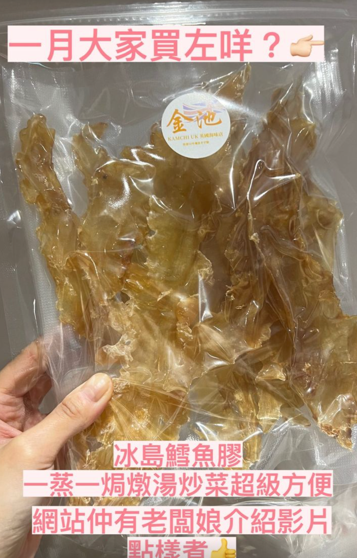 【人氣產品】冰島雪魚膠