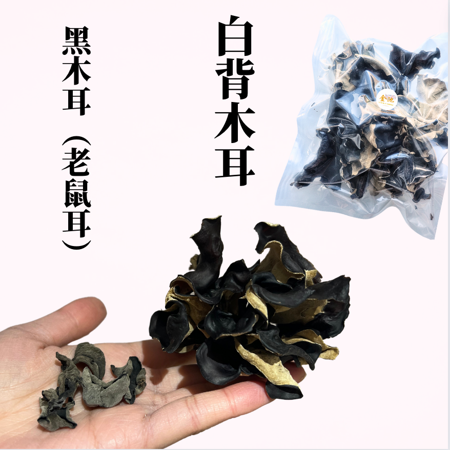 【補益氣血】巨型白背木耳（毛木耳）