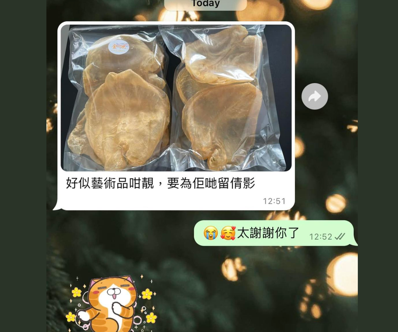 【珍品級】三頭鴨泡肚花膠(現貨只有一隻)