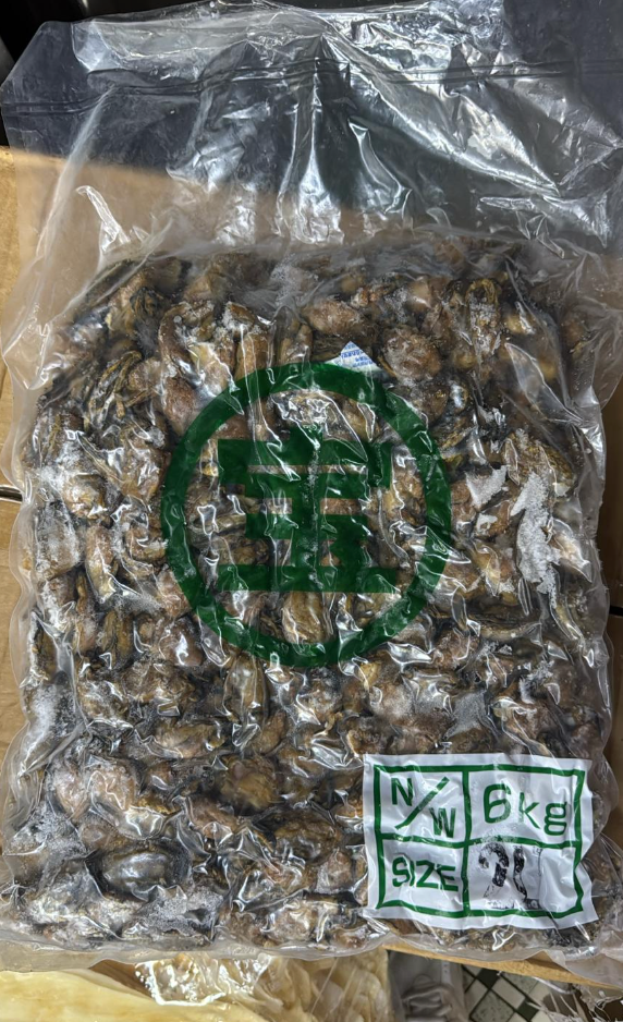 日本寶字牌蠔豉LL